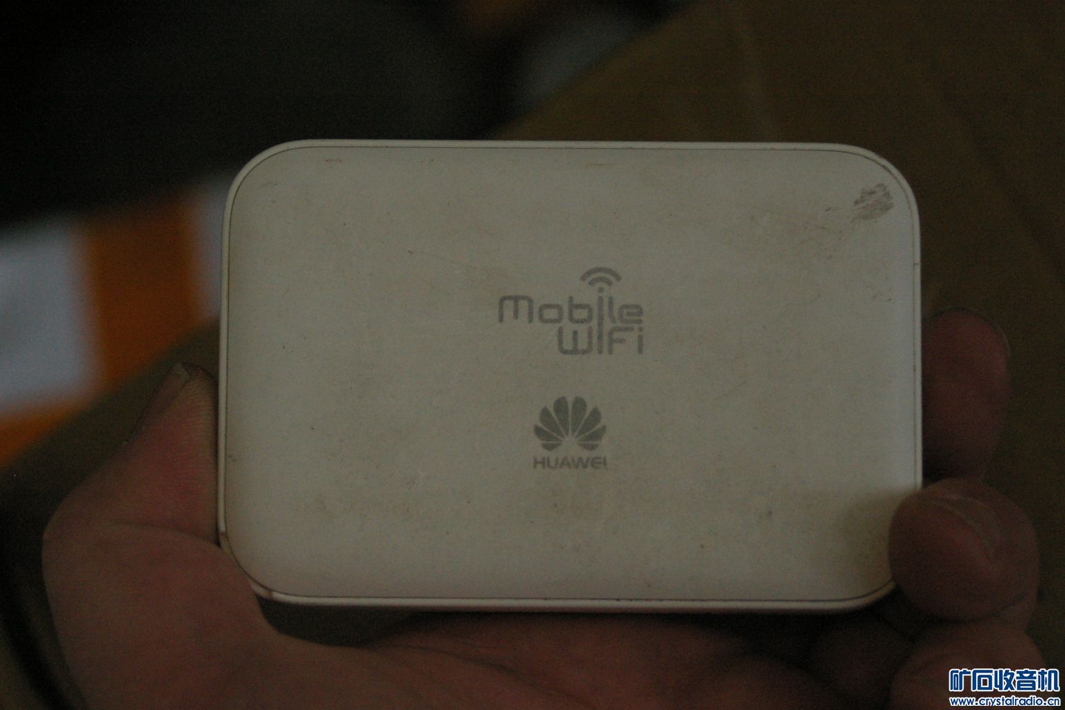IMGP3122.JPG