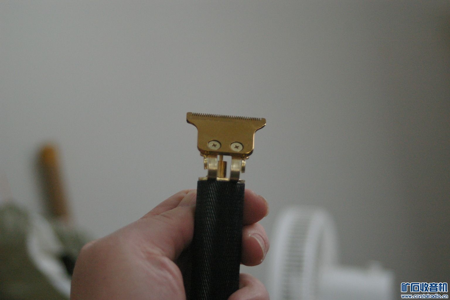 IMGP3306.JPG