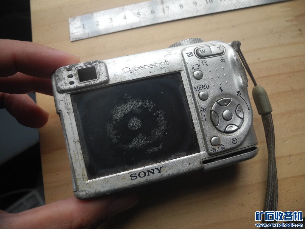 DSCN8420.JPG