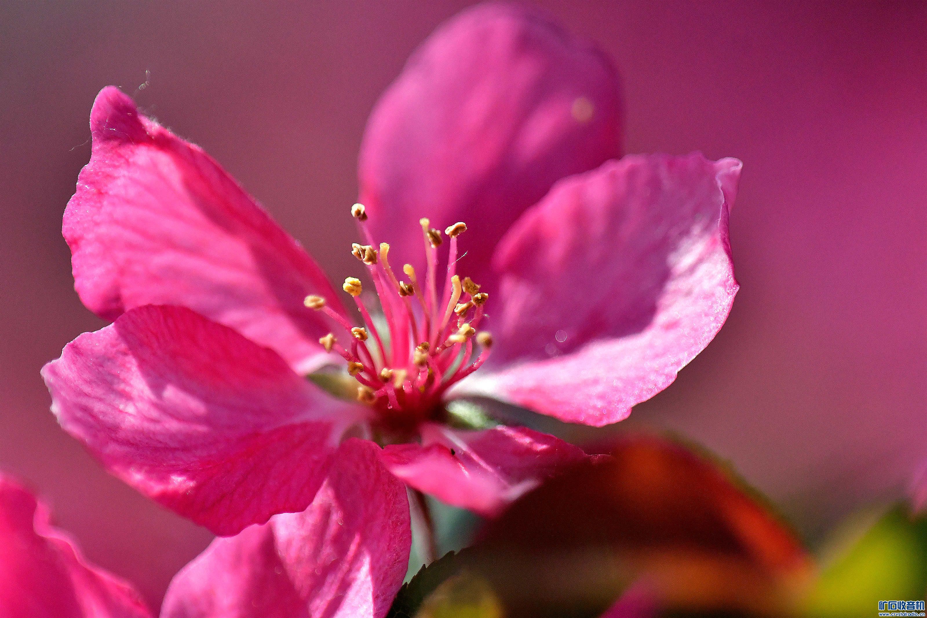 DSC_2302_20250410@015.jpg