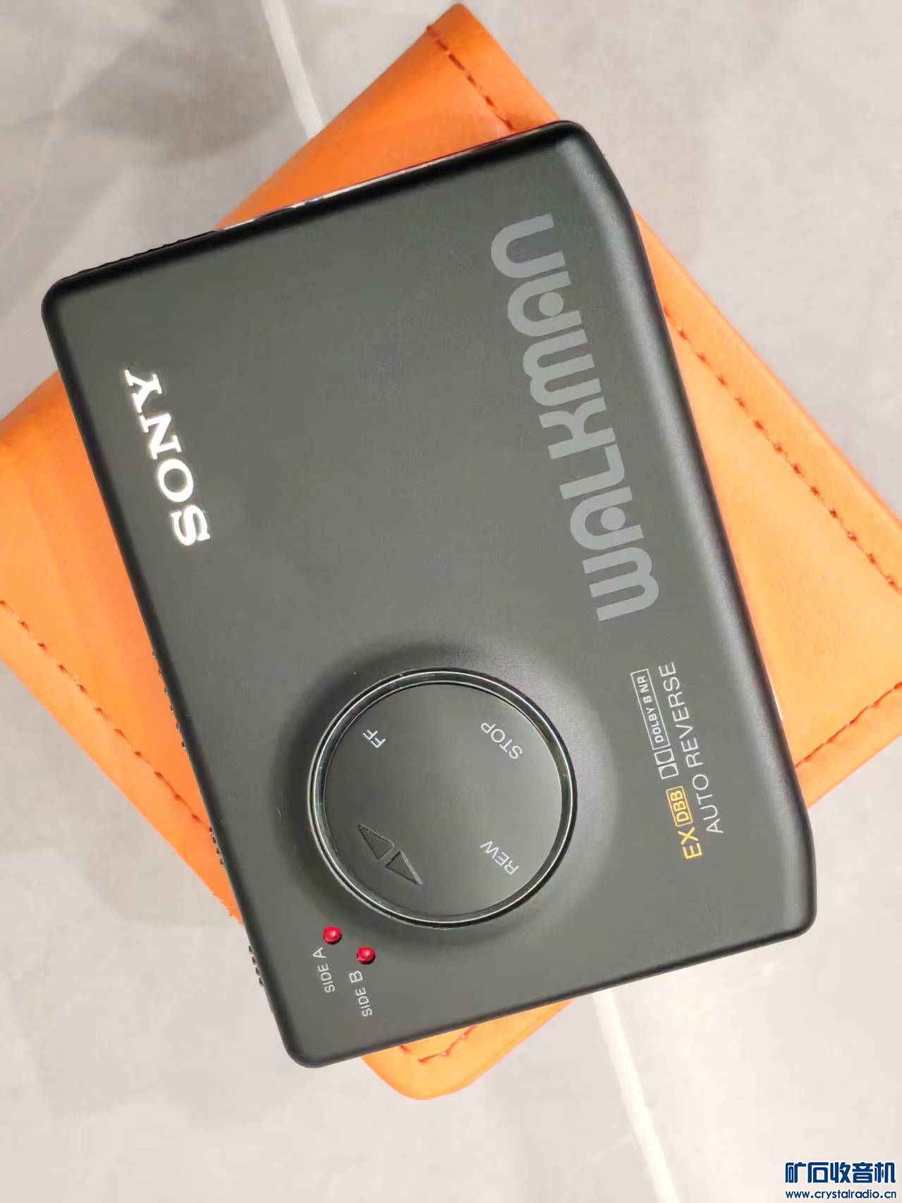 wm600 01.jpg