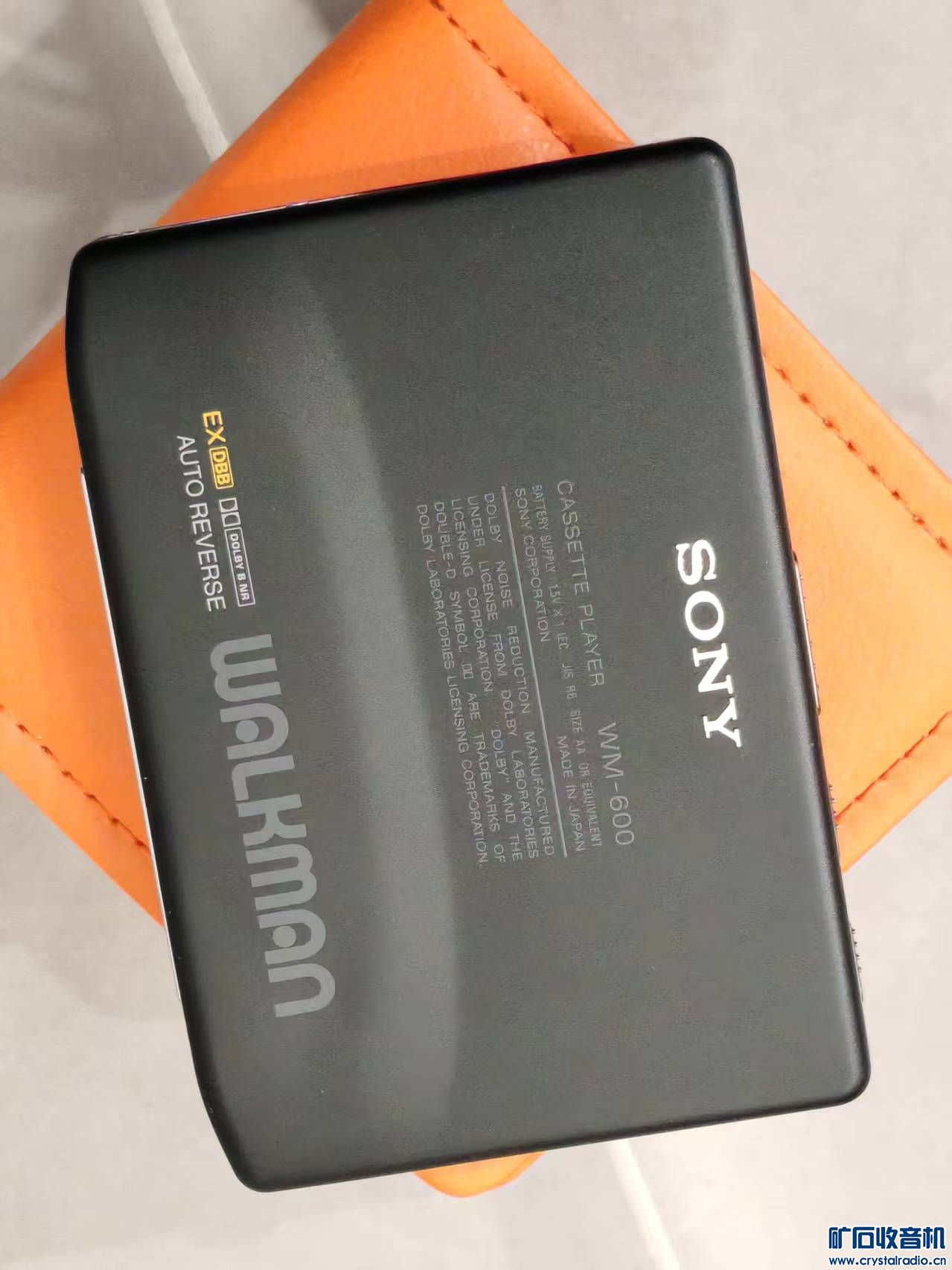 wm600 02.jpg