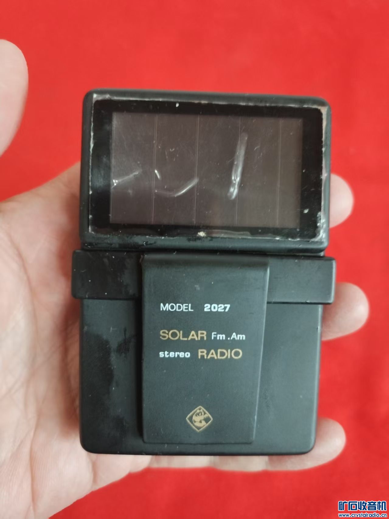 mmexport1745649017032.jpg