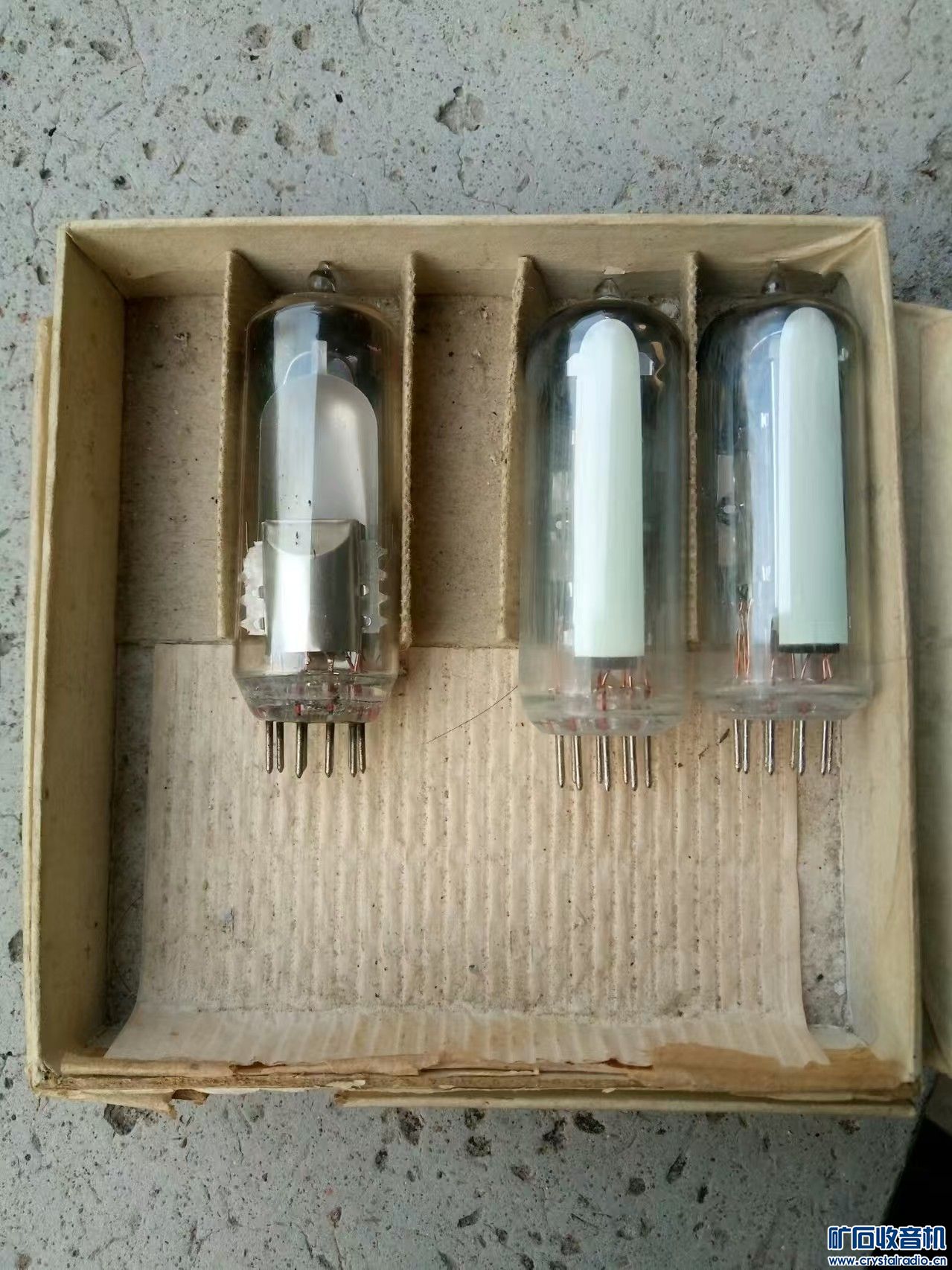 mmexport1745881555606.jpg