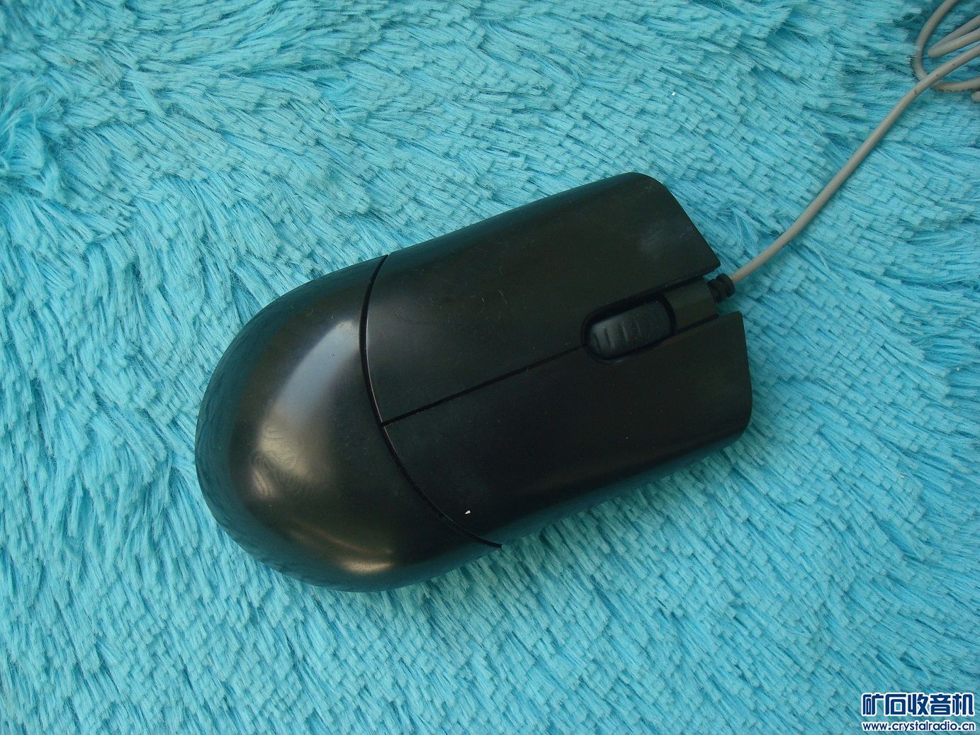 ɷħ1.jpg