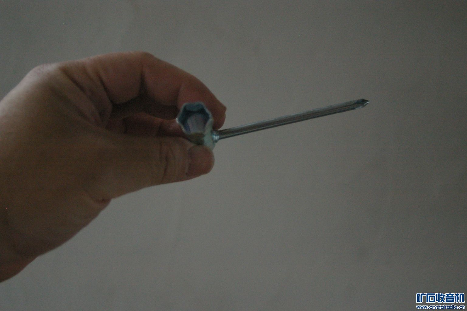 IMGP5362.JPG