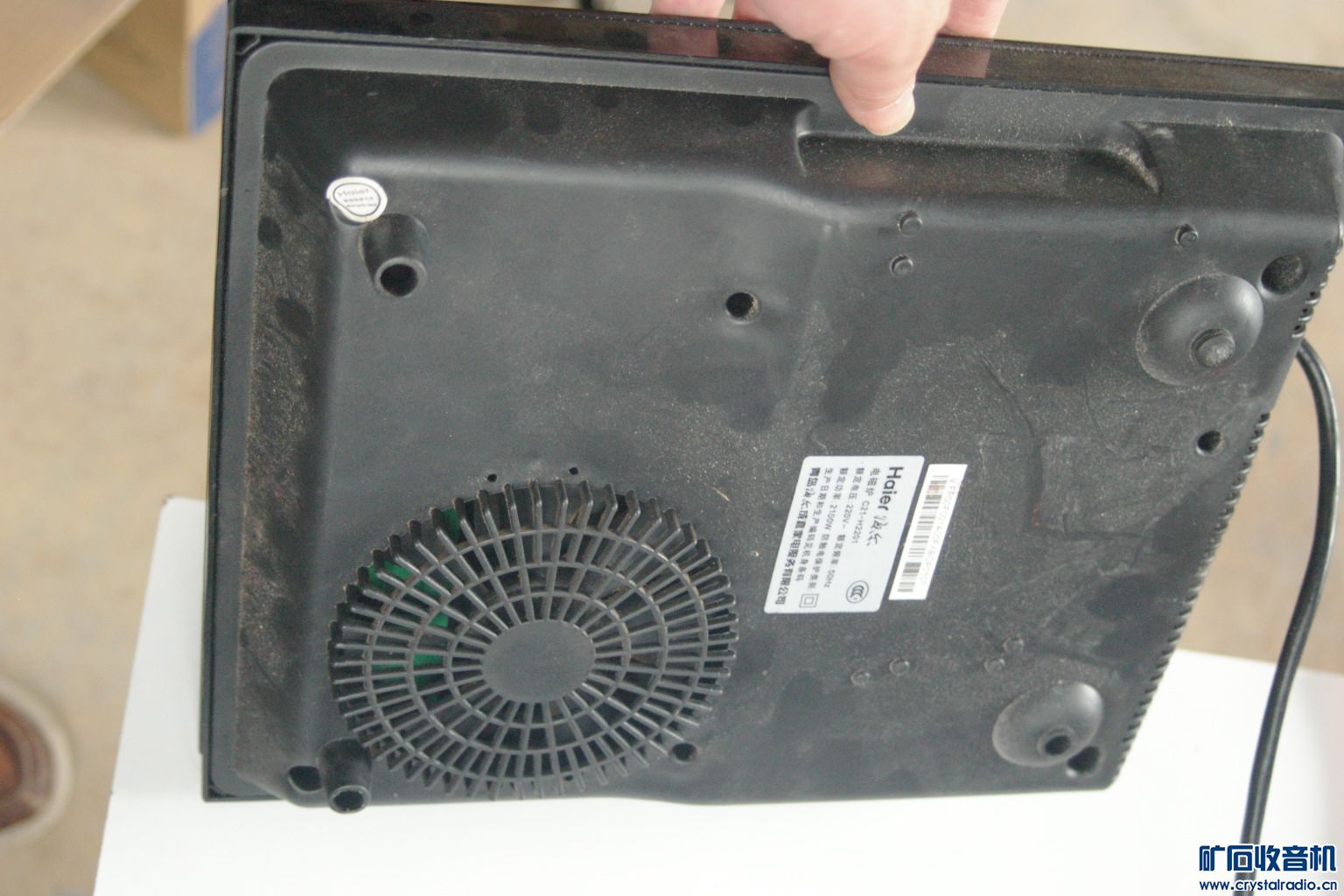 IMGP5554.JPG