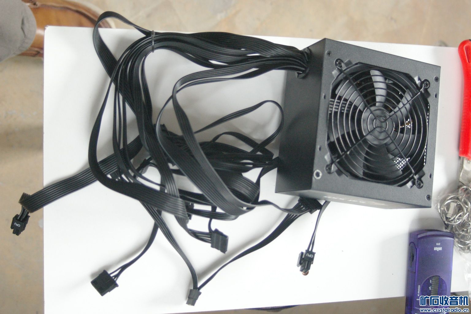 IMGP5555.JPG