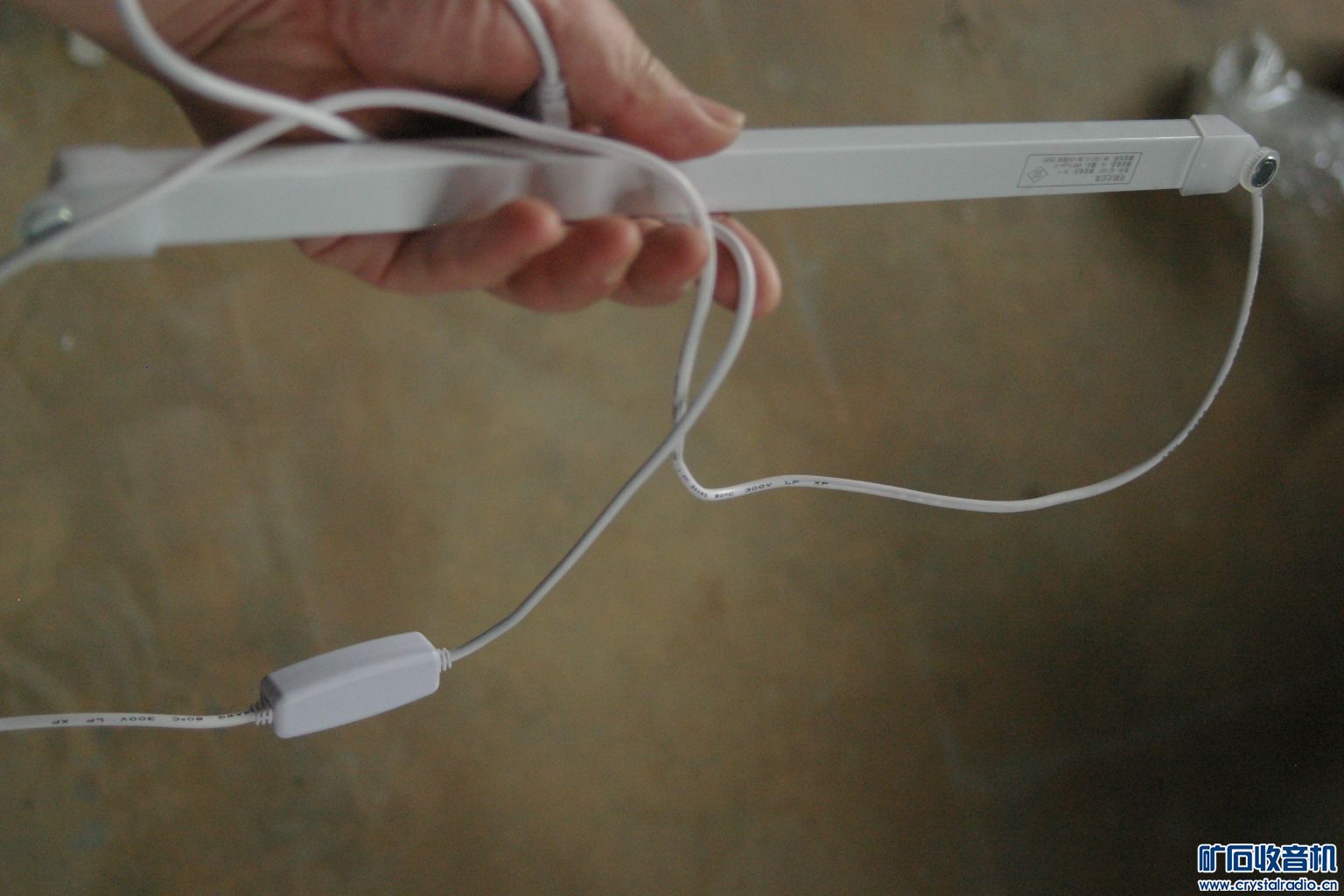 IMGP5580.JPG