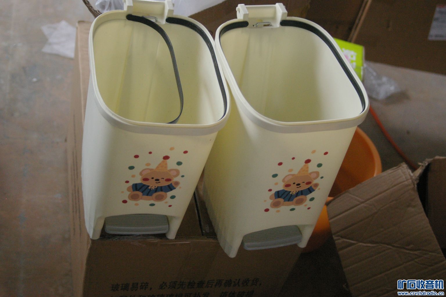 IMGP5593.JPG