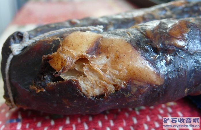 兔子吃肉吗? - 〓生活聊天板块〓 - 矿石收音机