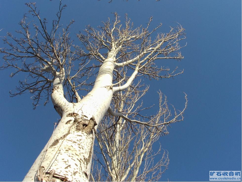 终于到家了,发一些这次出差的照片 - 〓生活聊