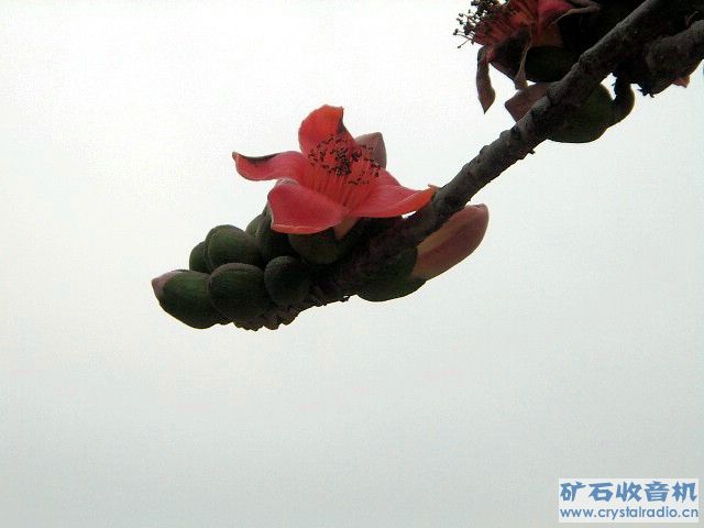 IMGP1700.JPG