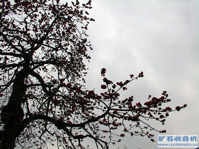 IMGP1673.JPG