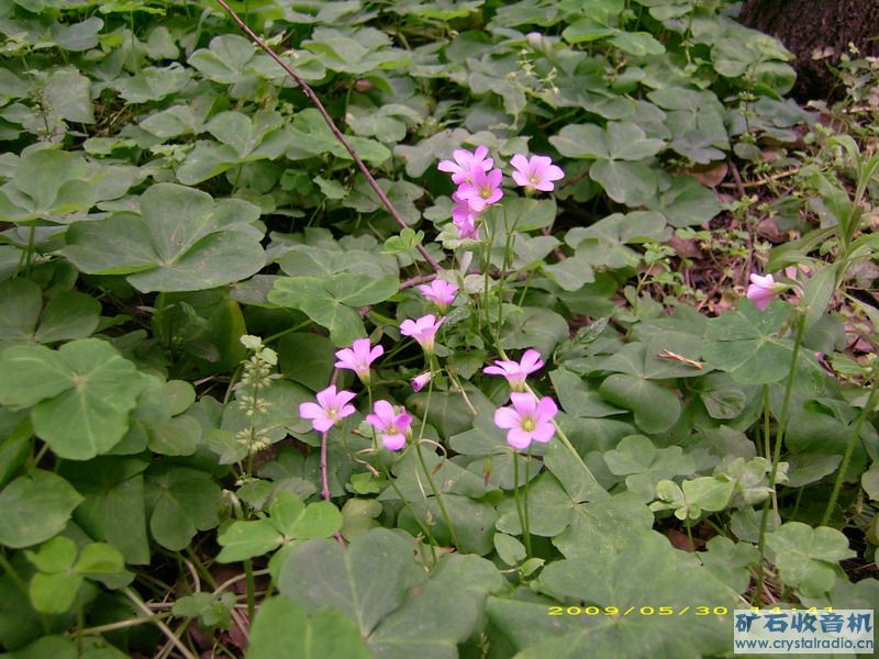 DSCI0559.JPG