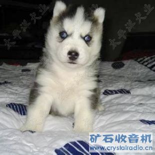 好想抱抱!既然大家喜欢我又上了几张图 - 〓生