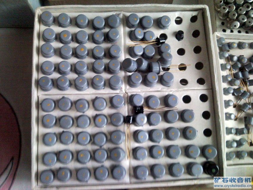 SNC01156.jpg