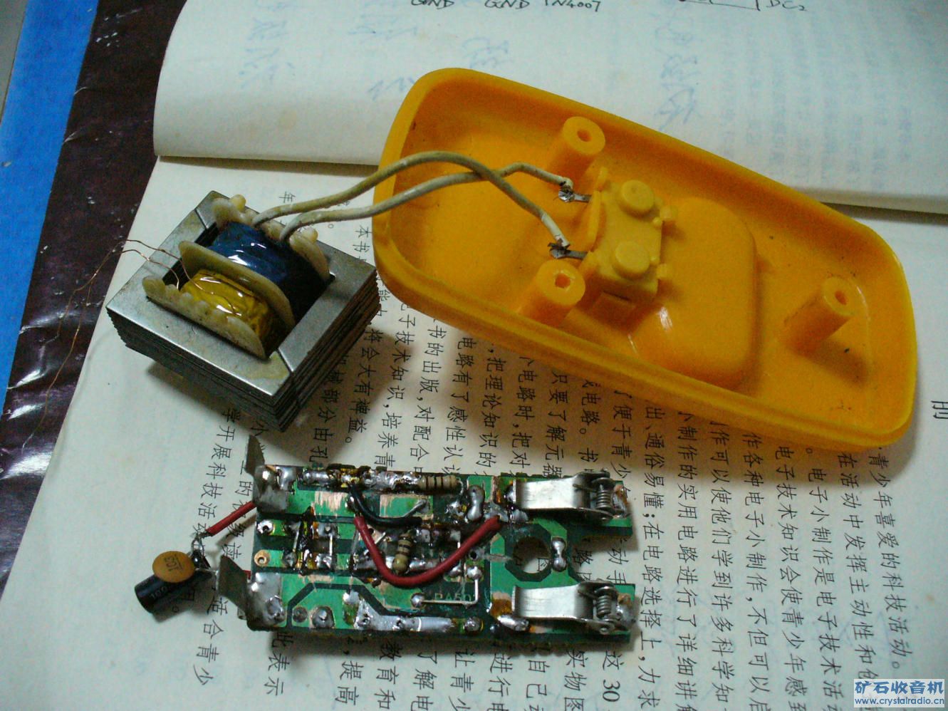 P1010009.jpg