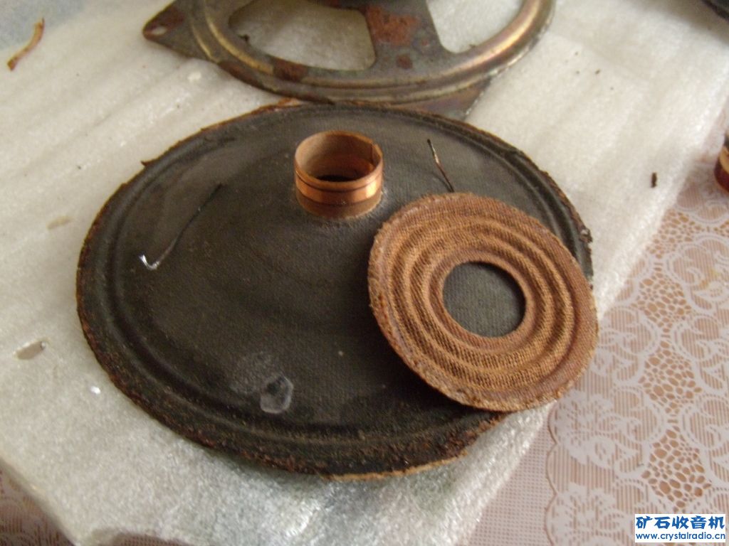 DSCN0854.jpg