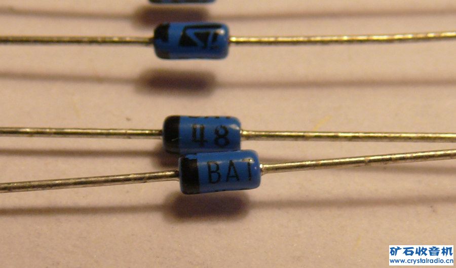 BAT48.jpg