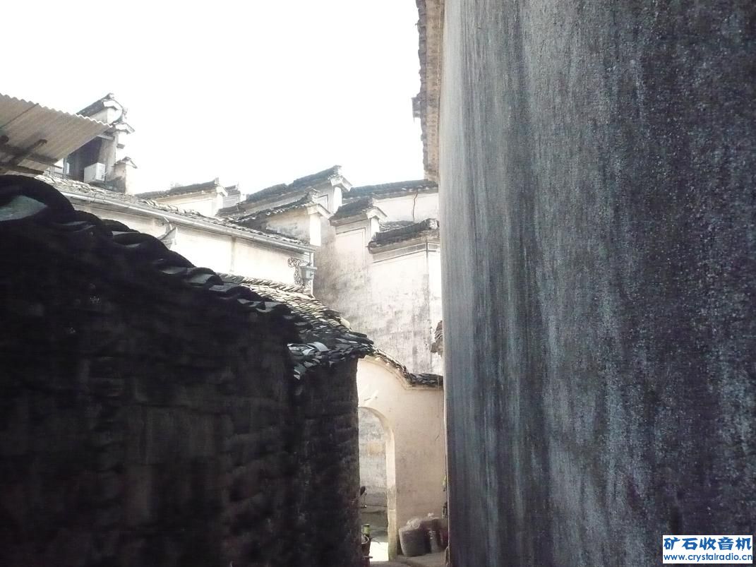 P1040774.JPG
