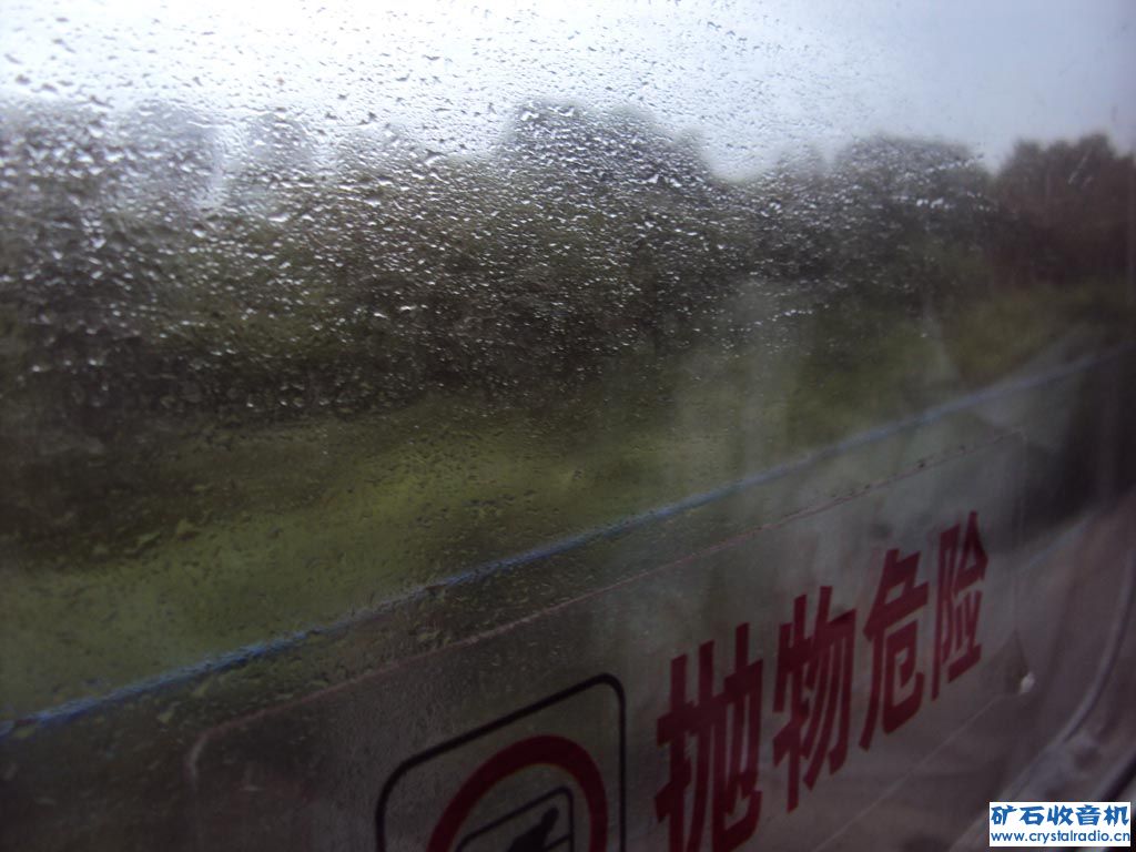 DSC01850.jpg